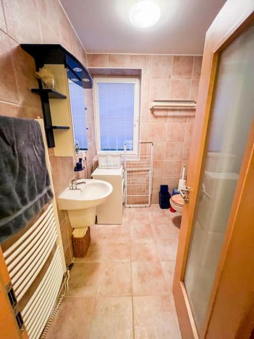 Prokop Apartman Železná Ruda Kültér fotó