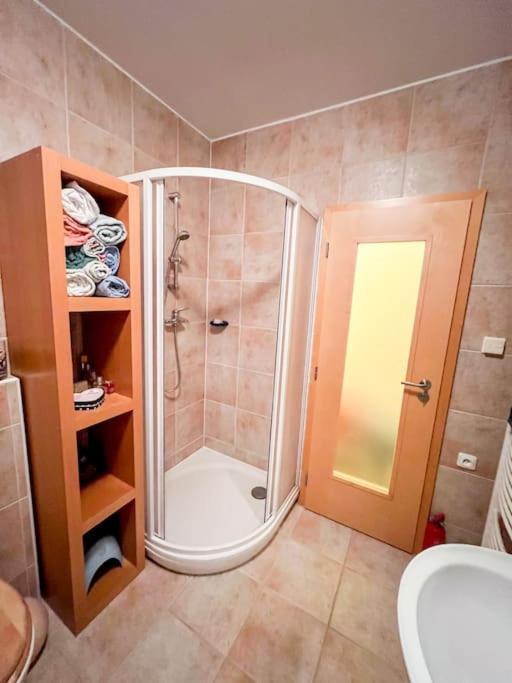 Prokop Apartman Železná Ruda Kültér fotó