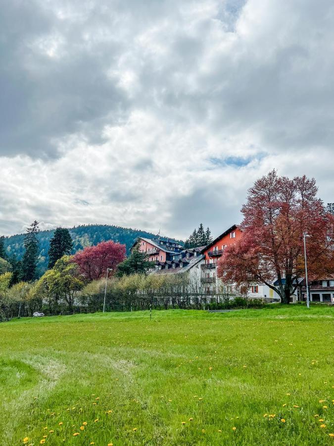 Prokop Apartman Železná Ruda Kültér fotó