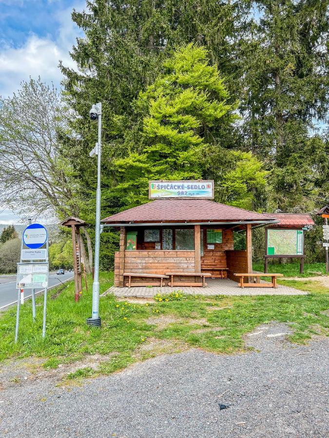Prokop Apartman Železná Ruda Kültér fotó
